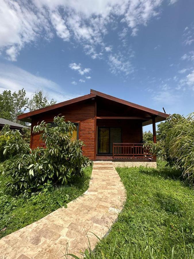 Çirali Vıllas 2 Extérieur photo