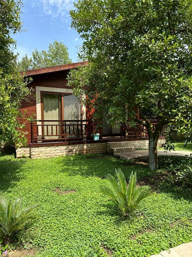 Çirali Vıllas 2 Extérieur photo
