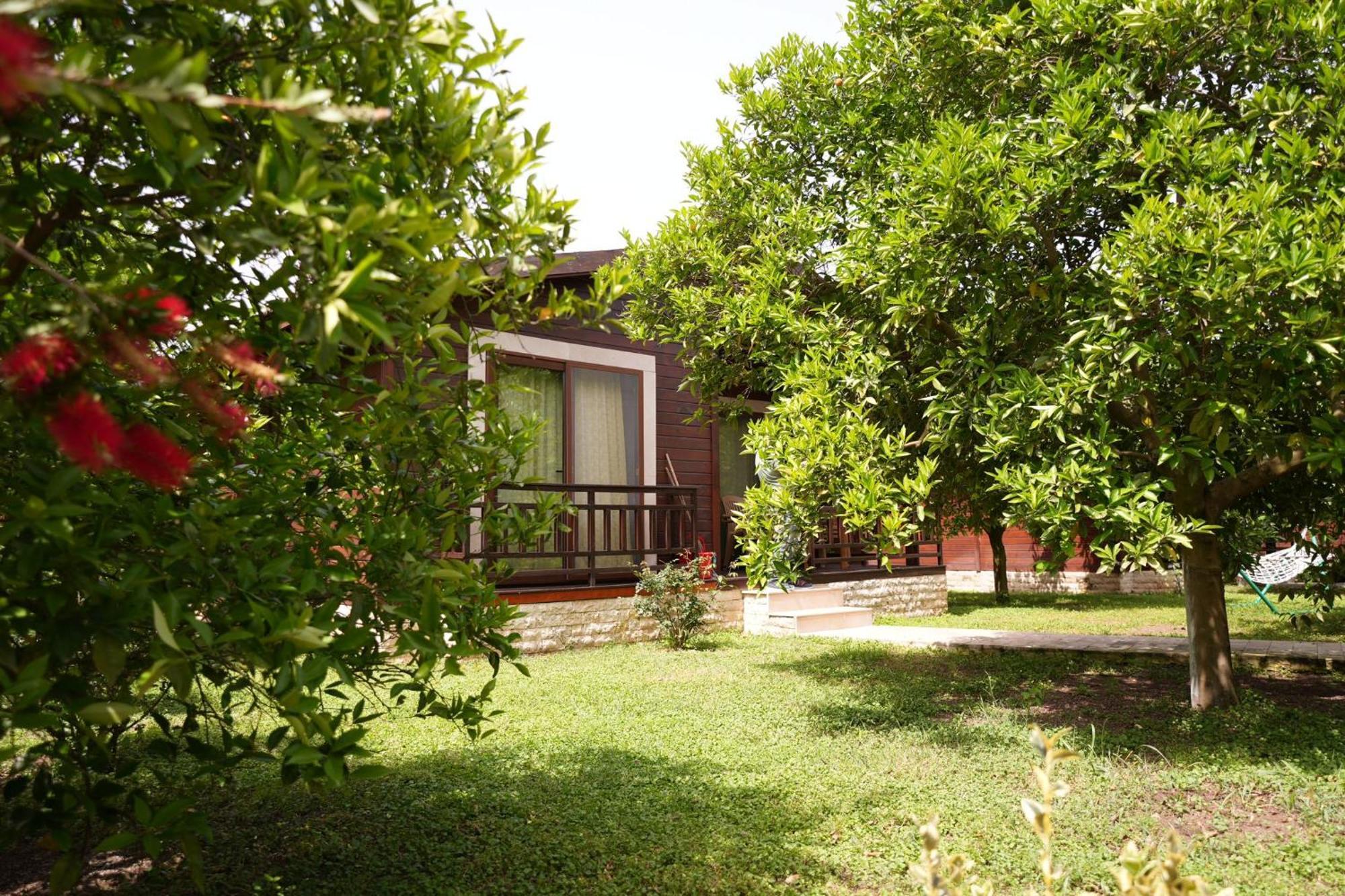Çirali Vıllas 2 Extérieur photo