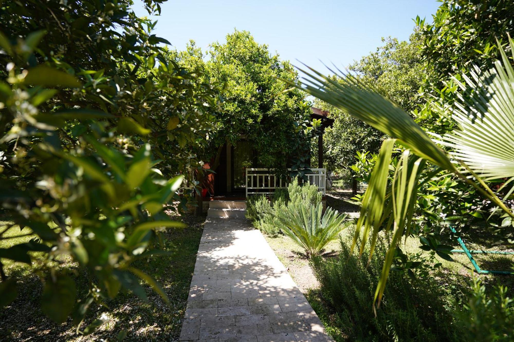 Çirali Vıllas 2 Extérieur photo